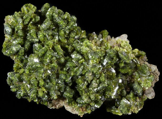 Lustrous, Epidote Crystal Cluster with Quartz - Morocco #49419